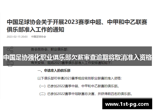 中国足协强化职业俱乐部欠薪审查逾期将取消准入资格