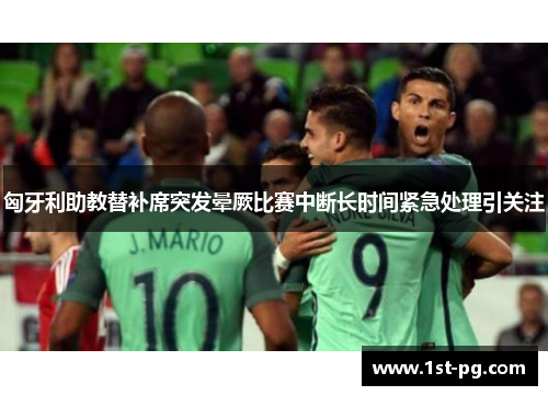 匈牙利助教替补席突发晕厥比赛中断长时间紧急处理引关注